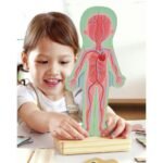 Fëmijë duke luajtur me puzzle trupi i njeriut për të mësuar anatomine dhe zhvilluar logjikën