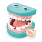 Model dhëmbësh nga seti i dentistit për fëmijë