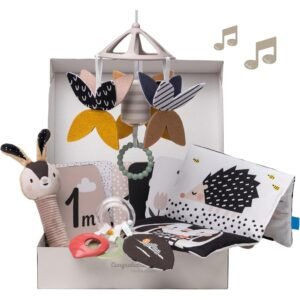 Set sensorial për të porsalindur me 10 pjesë Taf Toys