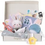 Set sensorial për të porsalindur me 12 pjesë Taf Toys