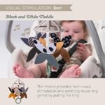 Bebe duke eksploruar lepurushin dhe elementet sensoriale Taf Toys