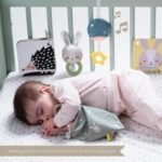 Bebe me setin sensorial Koha e gjumit Taf Toys