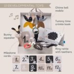 Libër sensorial bardhë e zi për bebe Taf Toys